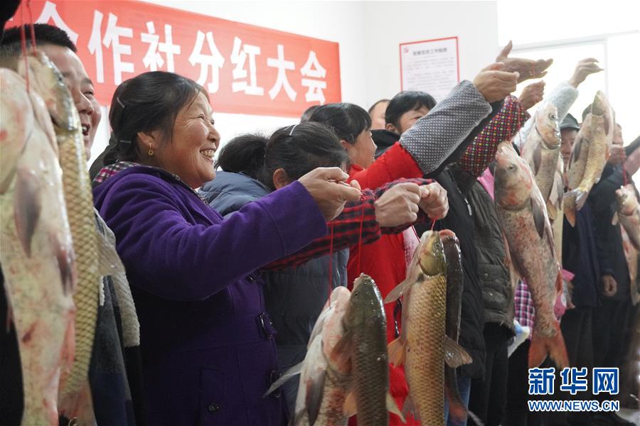 （新春走基層&middot;圖文互動(dòng)）（3）&ldquo;空殼村&rdquo;分紅啦！