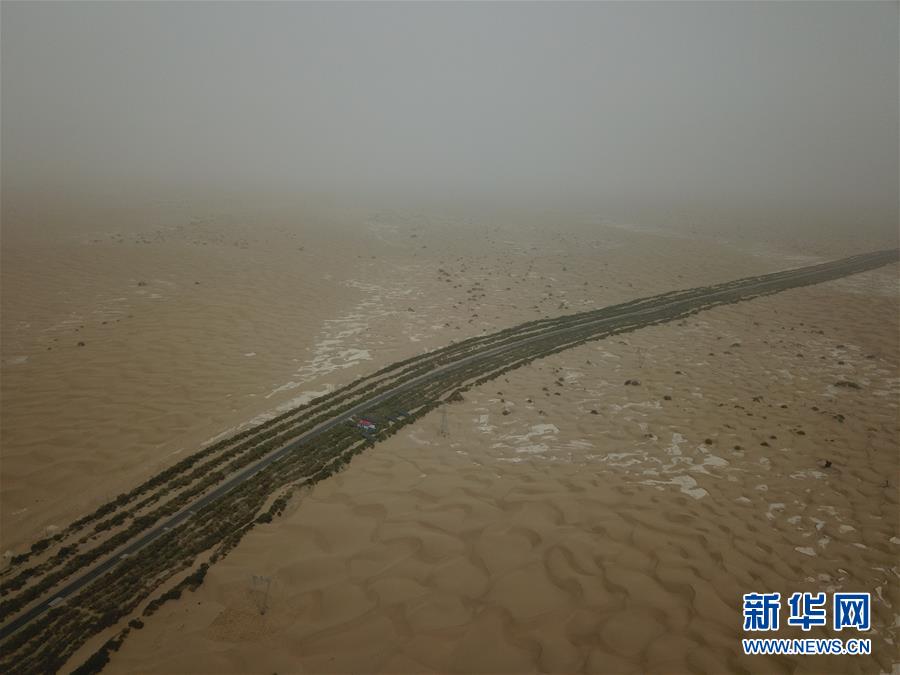 (新華全媒頭條·圖文互動(dòng))(1)塔克拉瑪干的“播綠使者”——中科院新疆生態(tài)與地理研究所高級(jí)工程師常青的故事