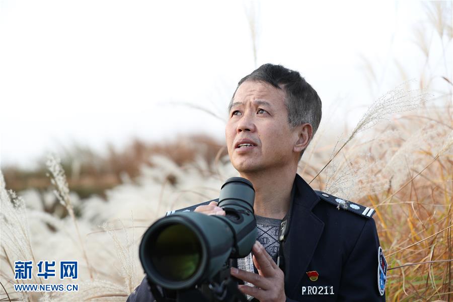 （新春走基層&middot;圖文互動）他們，默默守護(hù)候鳥