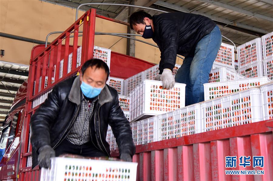 （聚焦疫情防控&middot;圖文互動）（5）吃的東西充足，做點(diǎn)花樣菜吧！&mdash;&mdash;中部地區(qū)最大農(nóng)產(chǎn)品批發(fā)市場見聞 