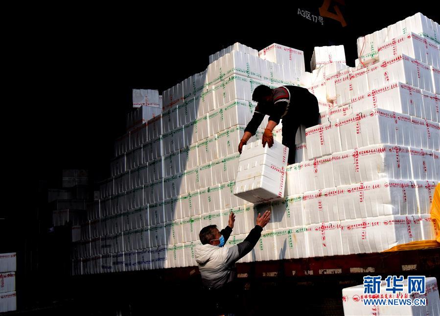 （聚焦疫情防控&middot;圖文互動）（4）吃的東西充足，做點(diǎn)花樣菜吧！&mdash;&mdash;中部地區(qū)最大農(nóng)產(chǎn)品批發(fā)市場見聞 