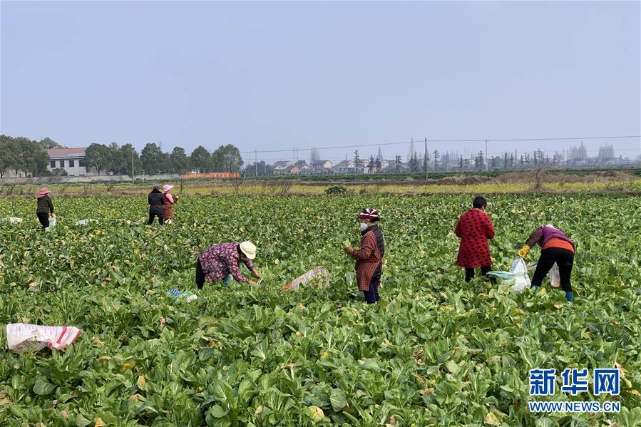 （新華全媒頭條&middot;圖文互動）（4）努力保持生產(chǎn)生活平穩(wěn)有序&mdash;&mdash;抓緊復(fù)工復(fù)產(chǎn)穩(wěn)定經(jīng)濟(jì)運行掃描