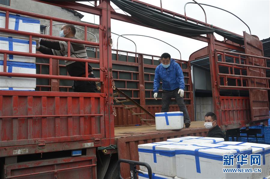 (做好六穩(wěn)工作 應(yīng)對復(fù)雜局面·圖文互動)(3)穩(wěn)住“菜籃子” 守住“好日子”