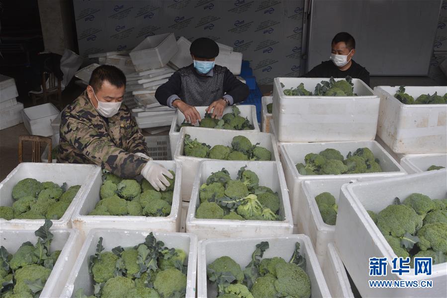 (做好六穩(wěn)工作 應(yīng)對復(fù)雜局面·圖文互動)(2)穩(wěn)住“菜籃子” 守住“好日子”