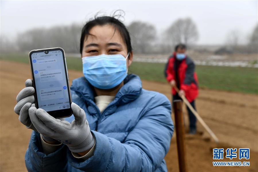 （圖文互動）（2）別樣的春耕&mdash;&mdash;來自農(nóng)業(yè)大省山東的春耕備耕見聞