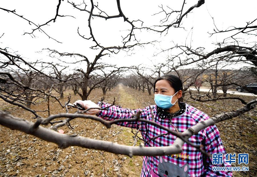 (聚焦疫情防控·圖文互動)(3)農(nóng)民工返城:幾多憧憬幾許等待——走進疫情下的河北勞務(wù)輸出專業(yè)村