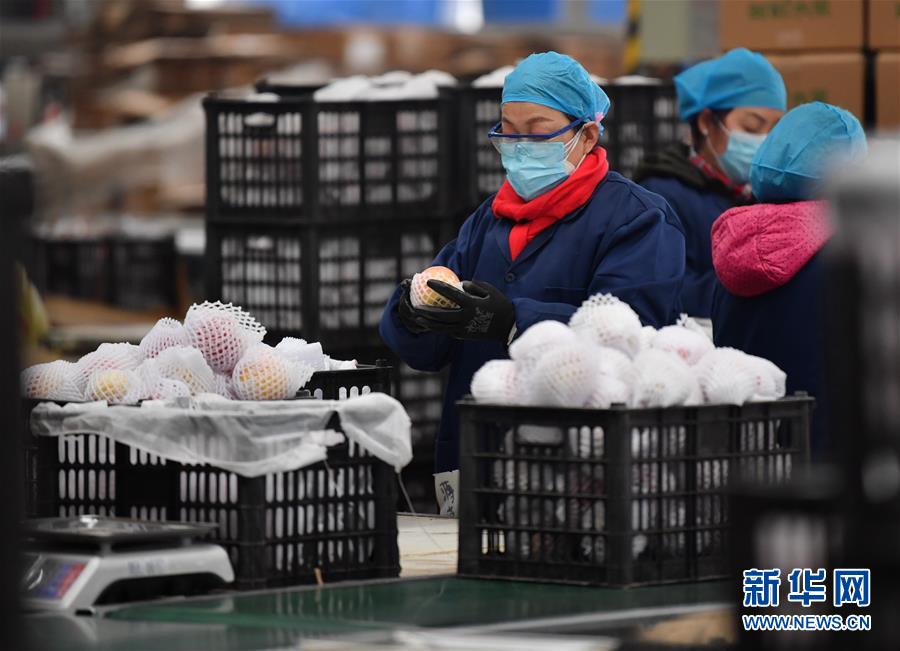 （聚焦疫情防控&middot;圖文互動）（4）&ldquo;一輛輛車出發(fā)，春暖花開的日子就不遠(yuǎn)了&rdquo;&mdash;&mdash;西北電商大縣陜西省武功縣復(fù)工見聞