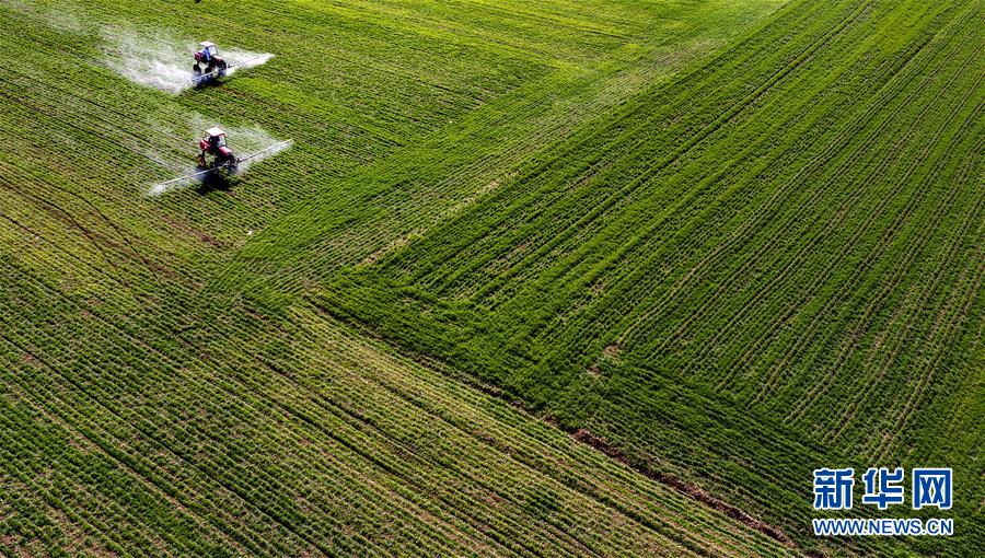 (新華全媒頭條·圖文互動(dòng))(13)磨難壓不垮 奮起正當(dāng)時(shí)——習(xí)近平總書記在統(tǒng)籌推進(jìn)新冠肺炎疫情防控和經(jīng)濟(jì)社會(huì)發(fā)展工作部署會(huì)議上的重要講話振奮人心凝聚力量