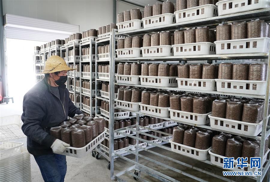 （決戰(zhàn)決勝脫貧攻堅(jiān)&middot;圖文互動(dòng)）（1）秦巴山區(qū)：戰(zhàn)疫戰(zhàn)貧，兩場(chǎng)仗都要打贏