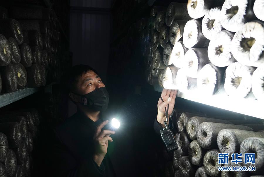 （決戰(zhàn)決勝脫貧攻堅(jiān)&middot;圖文互動(dòng)）（4）秦巴山區(qū)：戰(zhàn)疫戰(zhàn)貧，兩場(chǎng)仗都要打贏