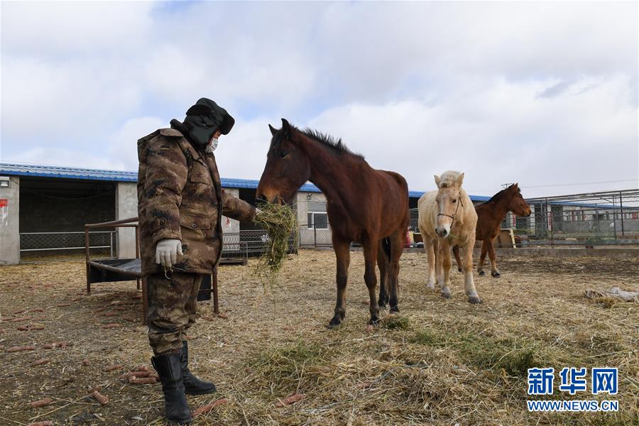 (聚焦疫情防控·圖文互動)(1)行進在鄉(xiāng)間的馬背巡邏隊