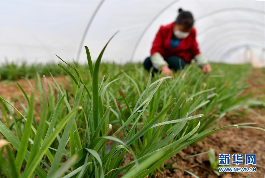 （圖文互動）（3）&ldquo;春天到了，熟悉的生活正在慢慢回來&rdquo;&mdash;&mdash;陜西多地復(fù)產(chǎn)復(fù)工一線見聞