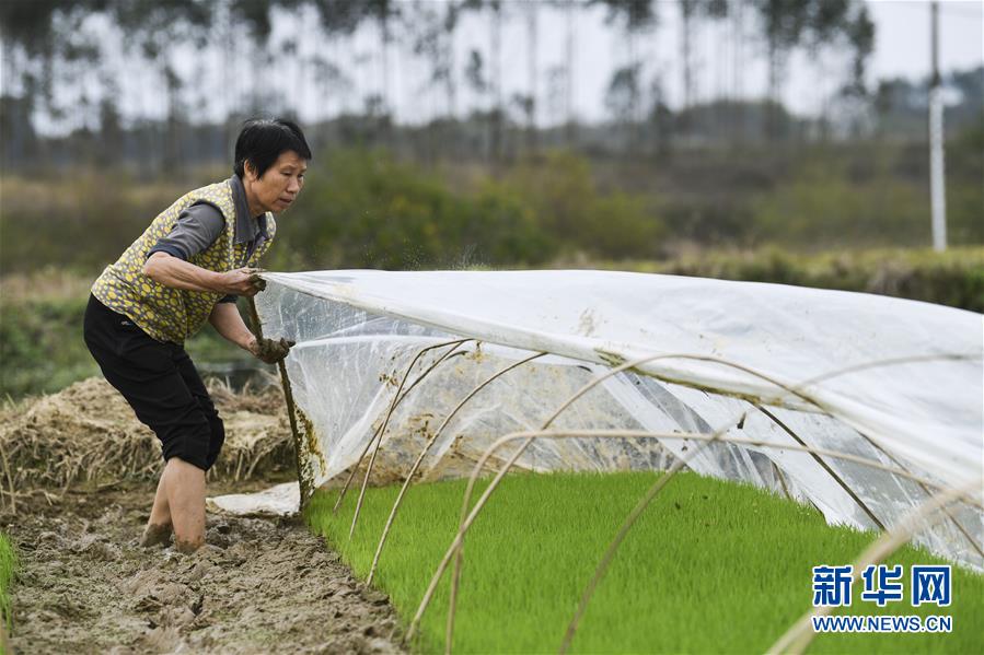 （圖文互動）（2）&ldquo;早一天復(fù)工，損失就少一點&rdquo;&mdash;&mdash;廣西以精準(zhǔn)防控推動復(fù)工復(fù)產(chǎn)一線見聞