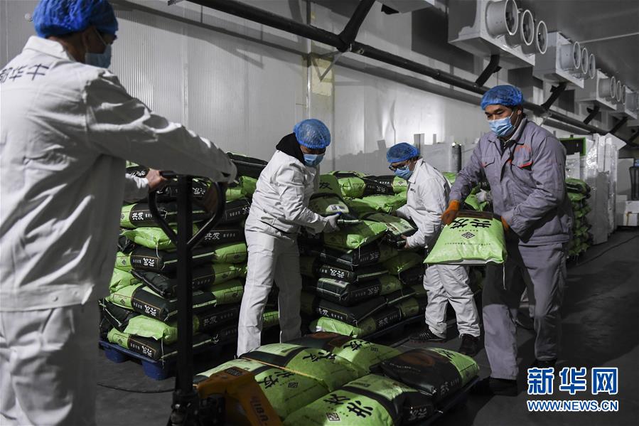 (抓好經(jīng)濟(jì)發(fā)展 應(yīng)對(duì)復(fù)雜局面·圖文互動(dòng))(1)“一企一策”解難題 大項(xiàng)目按下“加速器”——廣西精準(zhǔn)有序推動(dòng)項(xiàng)目開工復(fù)工