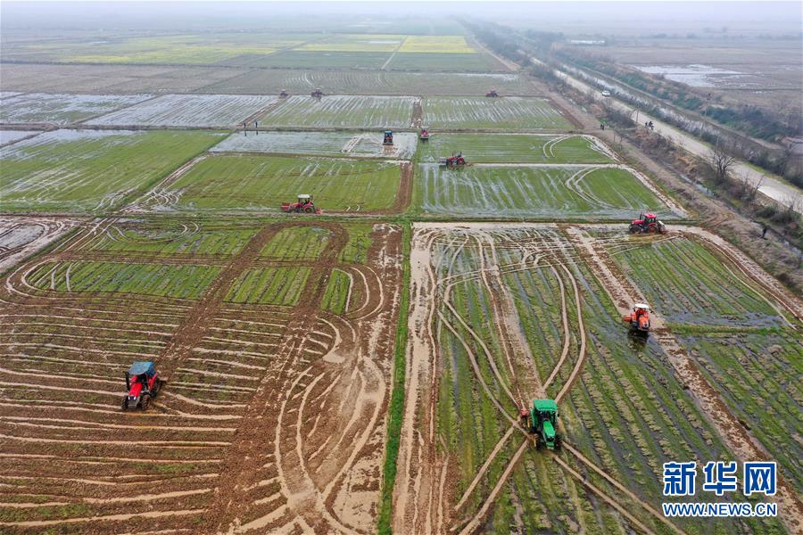 （抓好春耕備耕 穩(wěn)住農(nóng)業(yè)生產(chǎn)&middot;圖文互動）（2）智能農(nóng)機(jī)、&ldquo;訂單&rdquo;服務(wù)、&ldquo;云端&rdquo;種菜&mdash;&mdash;來自江西的春耕&ldquo;新事&rdquo;