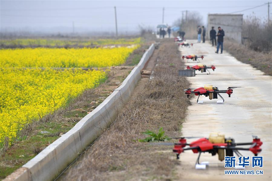 （抓好春耕備耕 穩(wěn)住農(nóng)業(yè)生產(chǎn)&middot;圖文互動）（4）智能農(nóng)機(jī)、&ldquo;訂單&rdquo;服務(wù)、&ldquo;云端&rdquo;種菜&mdash;&mdash;來自江西的春耕&ldquo;新事&rdquo;