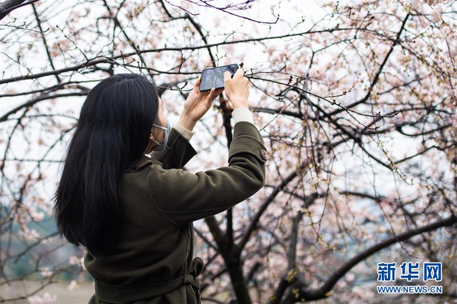 (圖文互動(dòng))(5)湖南:響應(yīng)降級 經(jīng)濟(jì)提速 防控不松
