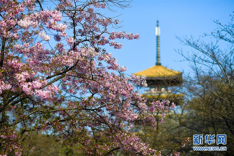 （新華全媒頭條&middot;圖文互動）（4）青春的力量 時代的脊梁&mdash;&mdash;記抗疫一線的&ldquo;90后&rdquo;&ldquo;00后&rdquo;年輕人