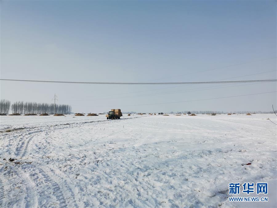 （抓好春耕備耕 穩(wěn)住農(nóng)業(yè)生產(chǎn)&middot;圖文互動(dòng)）（2）土地找&ldquo;管家&rdquo; 線(xiàn)上保春耕&mdash;&mdash;黑龍江省蘭西縣農(nóng)業(yè)生產(chǎn)托管服務(wù)見(jiàn)聞