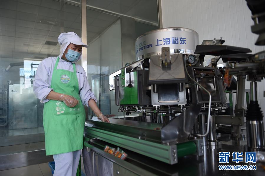 （在習(xí)近平新時(shí)代中國(guó)特色社會(huì)主義思想指引下&mdash;&mdash;新時(shí)代新作為新篇章&middot;習(xí)近平總書(shū)記關(guān)切事&middot;圖文互動(dòng)）（8）穩(wěn)住千家萬(wàn)戶的&ldquo;飯碗&rdquo;&mdash;&mdash;各地積極穩(wěn)就業(yè)化解疫情影響