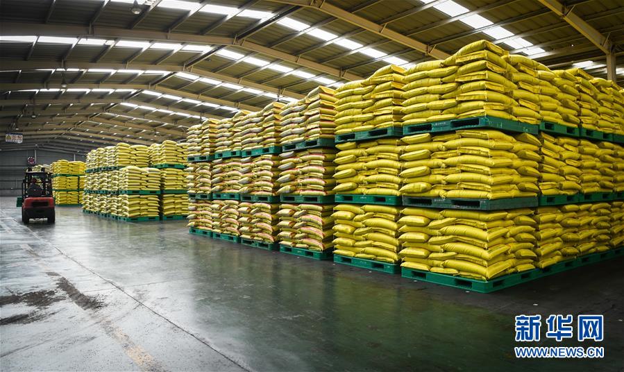 （新華全媒頭條&middot;圖文互動）（3）在艱難中重啟 在陣痛中復(fù)蘇&mdash;&mdash;湖北推動安全有序復(fù)工復(fù)產(chǎn)掃描