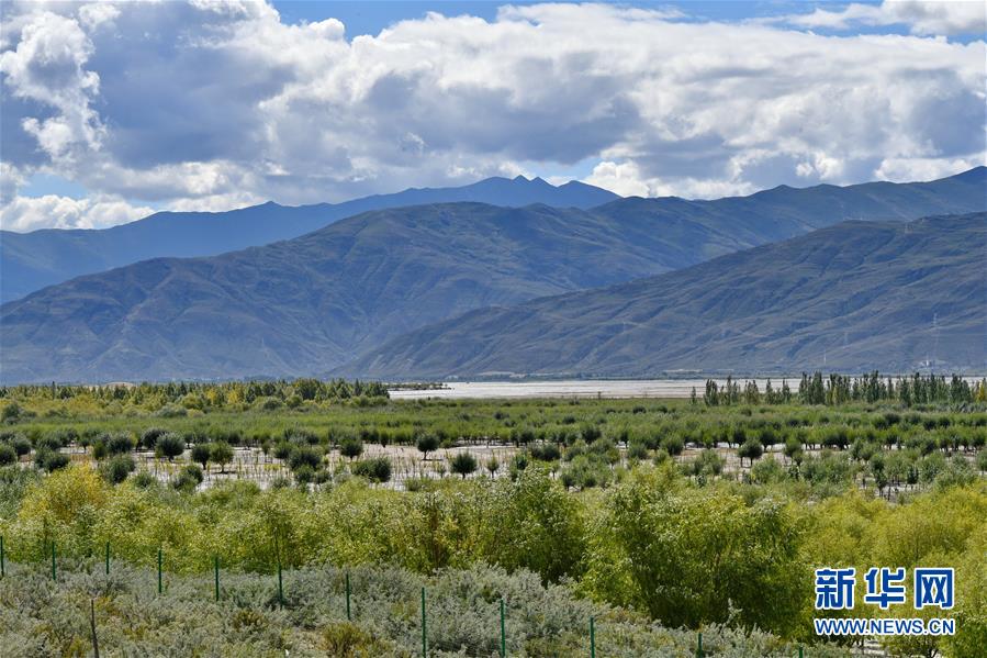 （圖文互動(dòng)）（4）&ldquo;今天的生活，就像夢(mèng)里夢(mèng)到那樣甜&rdquo;&mdash;&mdash;寫在西藏百萬(wàn)農(nóng)奴解放61周年之際