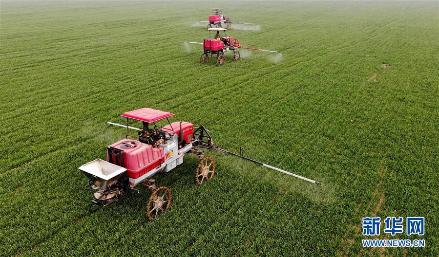 （新華全媒頭條&middot;圖文互動）（3）春天，匯聚復蘇的力量&mdash;&mdash;寫在2020年首季中國經(jīng)濟收官之際