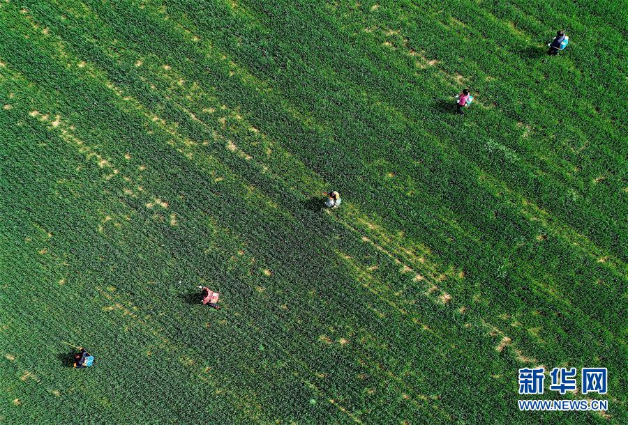 （新華全媒頭條&middot;圖文互動）（5）春天，匯聚復蘇的力量&mdash;&mdash;寫在2020年首季中國經(jīng)濟收官之際