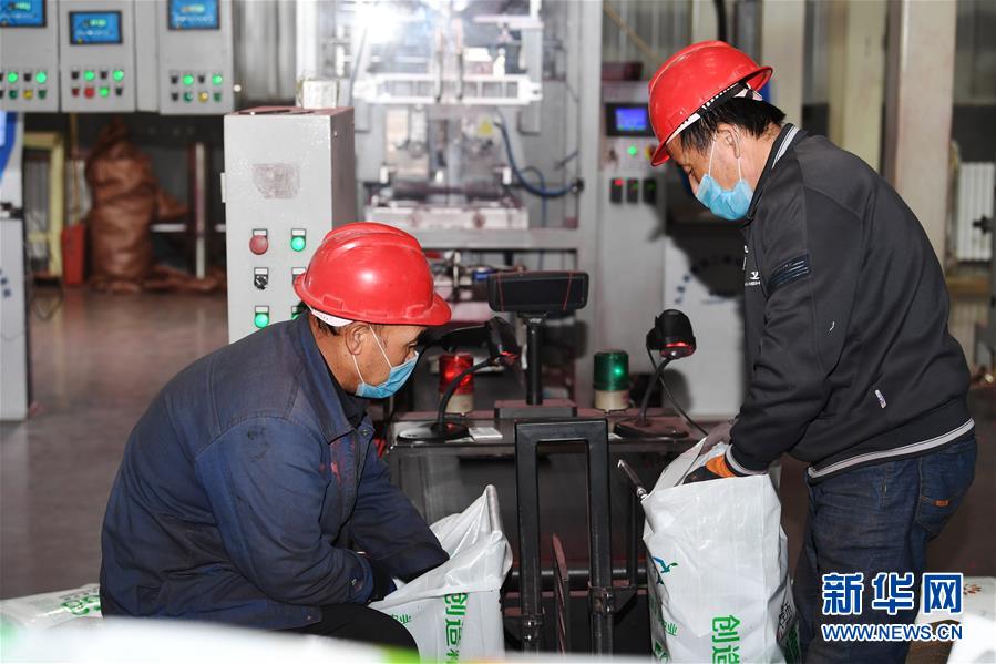 (抓好春耕備耕 穩(wěn)住農(nóng)業(yè)生產(chǎn)·圖文互動(dòng))(2)走向泥土是我們的終極夢(mèng)想——一粒種子的自述