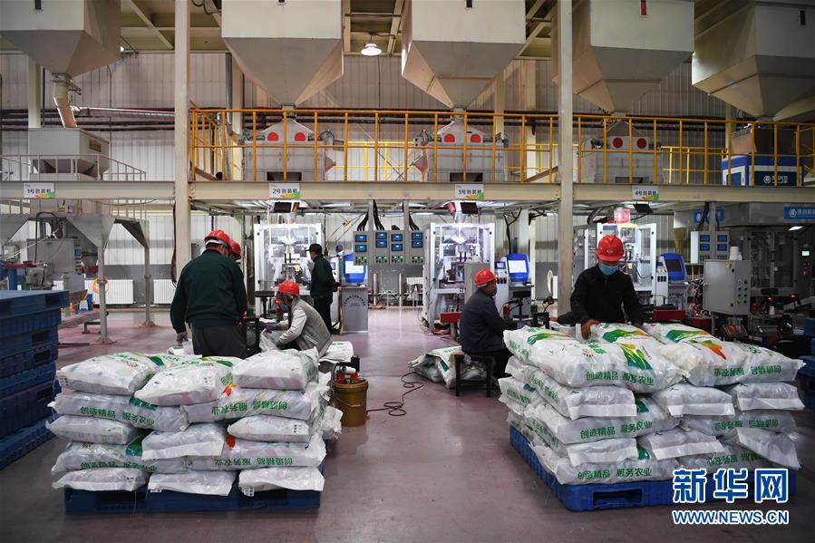 (抓好春耕備耕 穩(wěn)住農(nóng)業(yè)生產(chǎn)·圖文互動(dòng))(3)走向泥土是我們的終極夢(mèng)想——一粒種子的自述