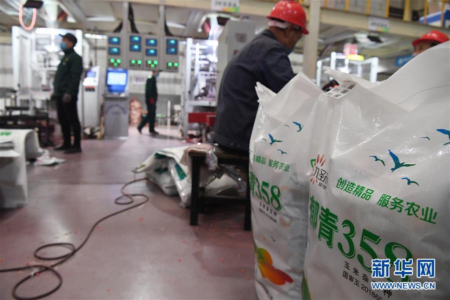 (抓好春耕備耕 穩(wěn)住農(nóng)業(yè)生產(chǎn)·圖文互動(dòng))(5)走向泥土是我們的終極夢(mèng)想——一粒種子的自述