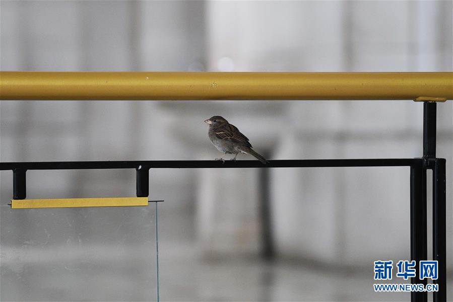 (國際疫情)(5)約翰斯·霍普金斯大學(xué):美國新冠肺炎確診病例超過14萬例