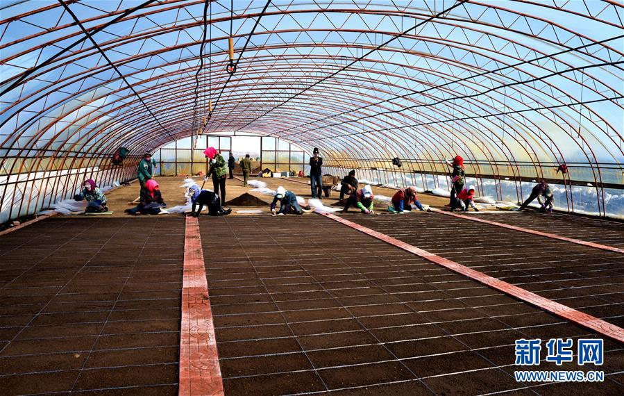 （在習(xí)近平新時(shí)代中國特色社會(huì)主義思想指引下&mdash;&mdash;新時(shí)代新作為新篇章&middot;習(xí)近平總書記關(guān)切事&middot;圖文互動(dòng)）（5）希望的田野，希望的春天&mdash;&mdash;各地農(nóng)業(yè)生產(chǎn)新動(dòng)態(tài)掃描