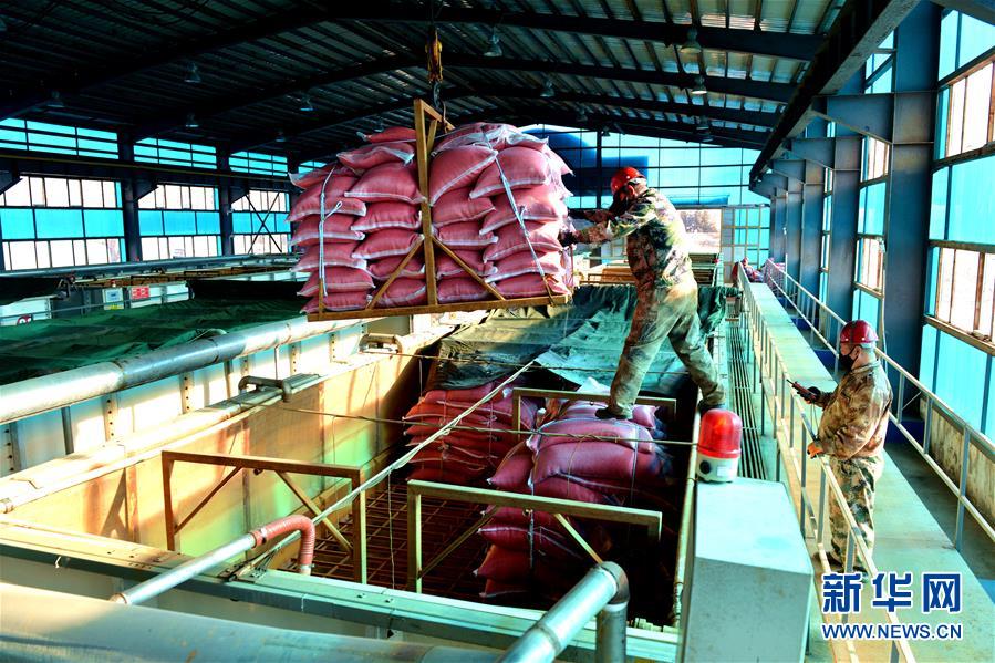 （在習(xí)近平新時(shí)代中國特色社會(huì)主義思想指引下&mdash;&mdash;新時(shí)代新作為新篇章&middot;習(xí)近平總書記關(guān)切事&middot;圖文互動(dòng)）（6）希望的田野，希望的春天&mdash;&mdash;各地農(nóng)業(yè)生產(chǎn)新動(dòng)態(tài)掃描