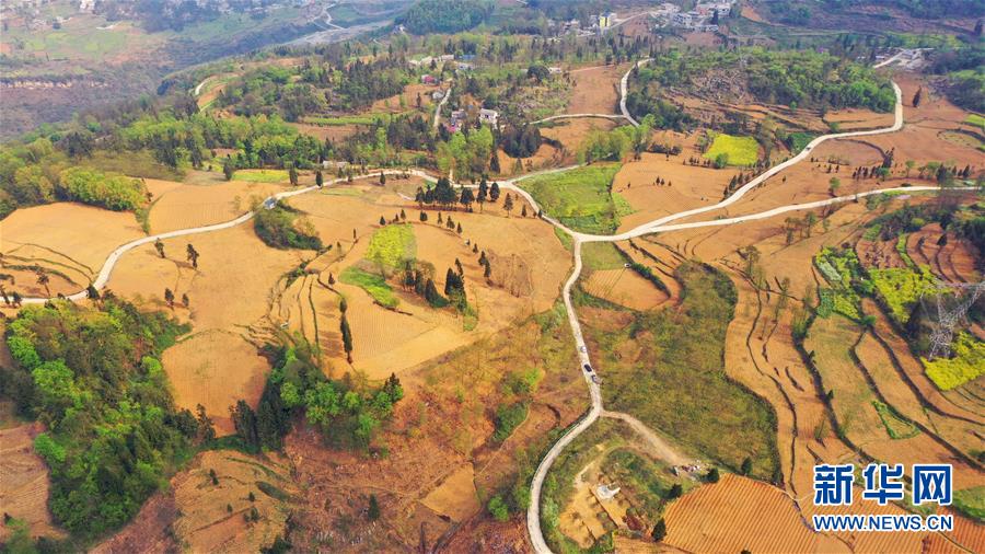 （決戰(zhàn)決勝脫貧攻堅(jiān)&middot;圖文互動(dòng)）（2）寄相思，償夙愿&mdash;&mdash;5封清明&ldquo;家書&rdquo;里的決戰(zhàn)決勝信念