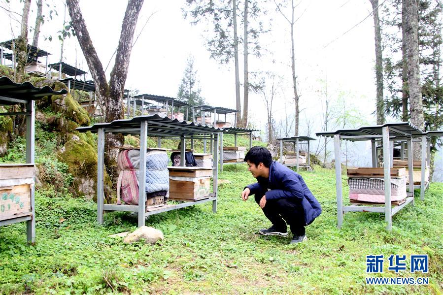 （決戰(zhàn)決勝脫貧攻堅(jiān)&middot;圖文互動(dòng)）（3）寄相思，償夙愿&mdash;&mdash;5封清明&ldquo;家書&rdquo;里的決戰(zhàn)決勝信念