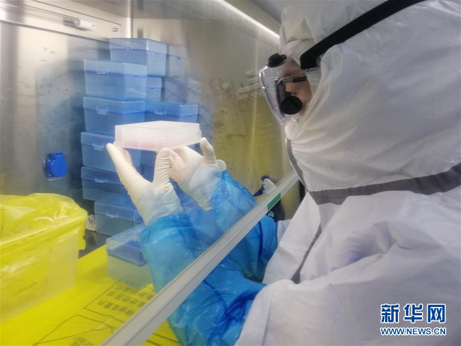 （一線抗疫群英譜&middot;圖文互動）（2）&ldquo;95后&rdquo;大學生郝鶯歌：退掉車票，她選擇直面病毒