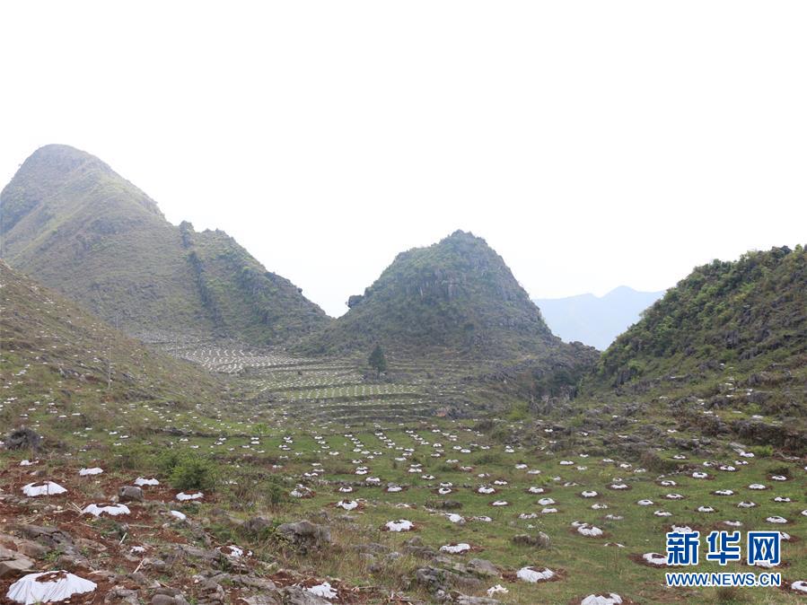 （決戰(zhàn)決勝脫貧攻堅&middot;圖文互動）（4）逐項逐戶排查補齊脫貧攻堅&ldquo;短板&rdquo;&mdash;&mdash;貴州晴隆縣扶貧一線工作見聞 