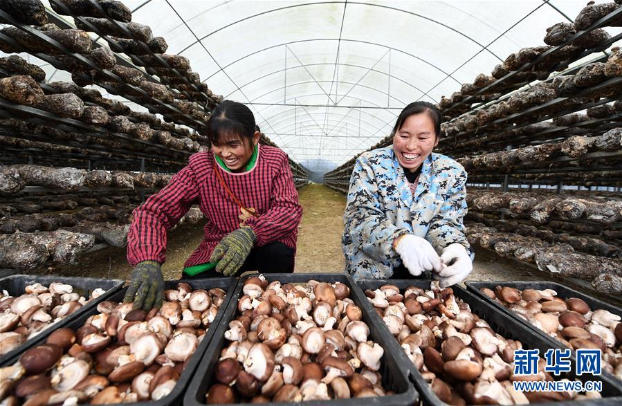 （決戰(zhàn)決勝脫貧攻堅&middot;圖文互動）（1）多重保障 不漏一人&mdash;&mdash;貴州一個脫貧&ldquo;摘帽&rdquo;縣的防貧機制探索