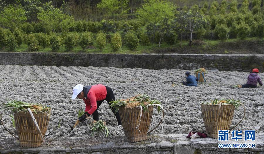 (圖文互動(dòng))(7)“消失”的小南海