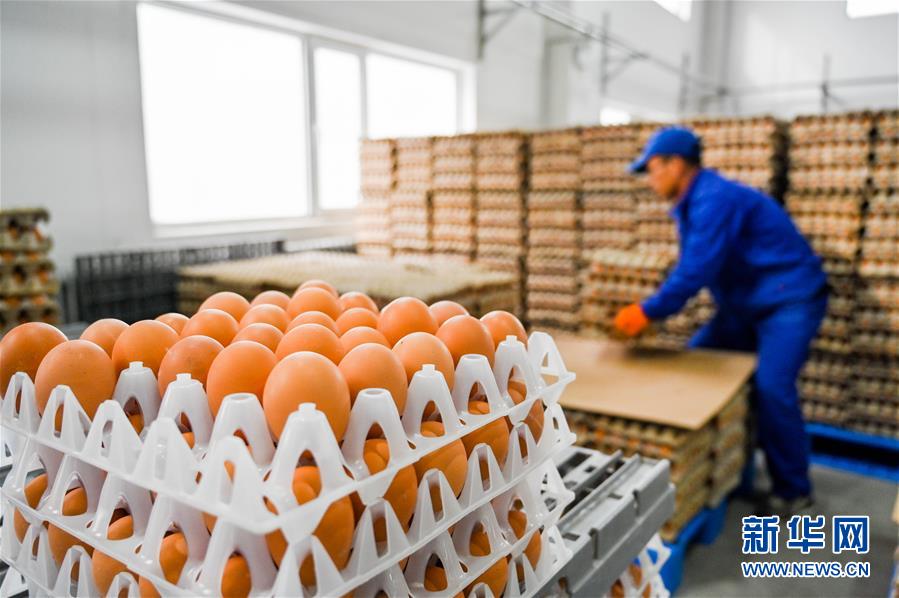 (新華全媒頭條·圖文互動)(9)內(nèi)蒙古貧困旗縣全部“摘帽”