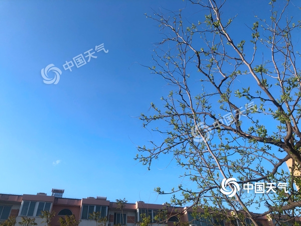 陣風(fēng)8級(jí)！北京遭遇雨后大降溫 北風(fēng)勁吹需添衣