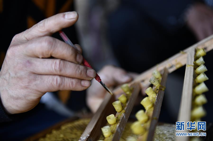 （決戰(zhàn)決勝脫貧攻堅(jiān)&middot;圖文互動(dòng)）（4）一位農(nóng)民的產(chǎn)業(yè)扶貧成績(jī)單 