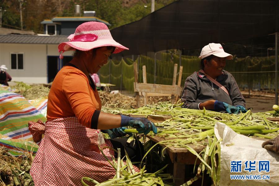 (在習(xí)近平新時(shí)代中國特色社會主義思想指引下——新時(shí)代新作為新篇章·習(xí)近平總書記關(guān)切事·圖文互動)(4)啃下最后的硬骨頭——脫貧攻堅(jiān)掛牌督戰(zhàn)進(jìn)行時(shí)