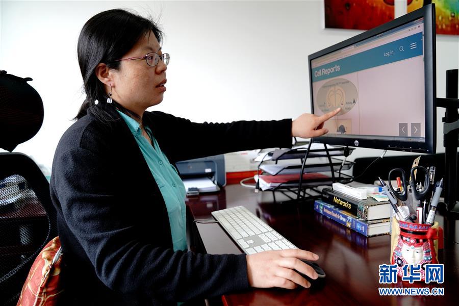 （圖文互動(dòng)）（1）攻擊行為如何被大腦控制？科學(xué)家在小鼠大腦中發(fā)現(xiàn)&ldquo;調(diào)節(jié)開(kāi)關(guān)&rdquo;