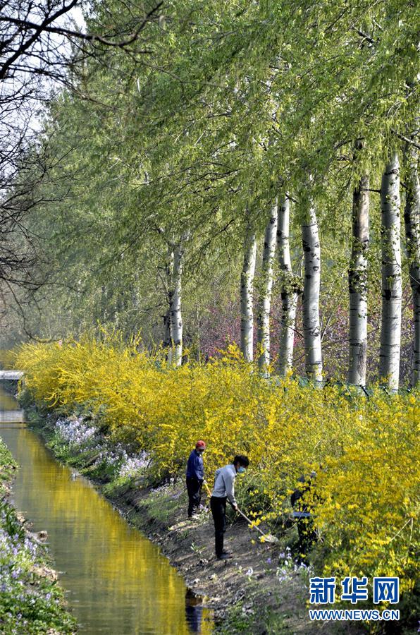 （新華全媒頭條&middot;圖文互動(dòng)）（4）永遠(yuǎn)的夢(mèng)想 永恒的追求&mdash;&mdash;寫(xiě)在北京世園會(huì)開(kāi)幕一周年之際