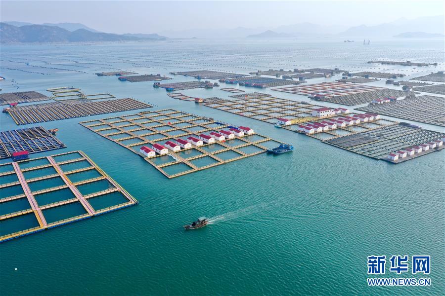 （新華全媒頭條&middot;圖文互動(dòng)）（10）永遠(yuǎn)的夢(mèng)想 永恒的追求&mdash;&mdash;寫(xiě)在北京世園會(huì)開(kāi)幕一周年之際