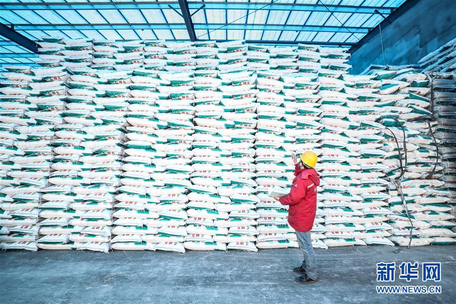 (在習(xí)近平新時代中國特色社會主義思想指引下——新時代新作為新篇章·習(xí)近平總書記關(guān)切事·圖文互動)(4)春耕忙 信心足——谷雨時節(jié)走馬東北直擊糧事