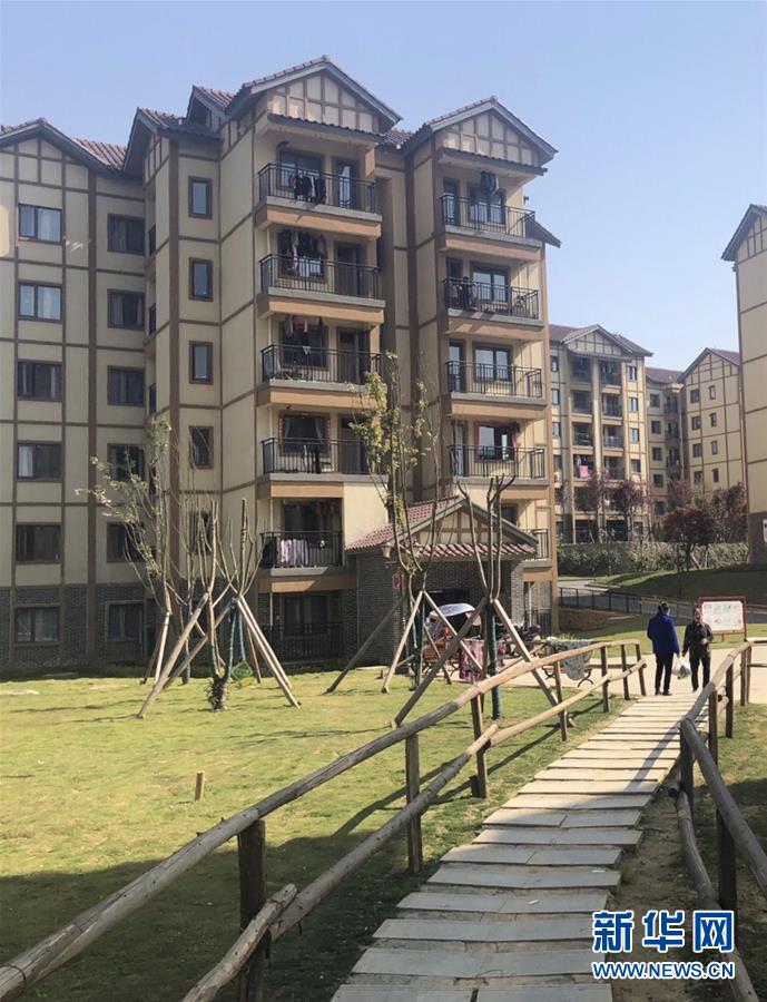 (圖文互動(dòng))(2)柏楊林的“樣板間”