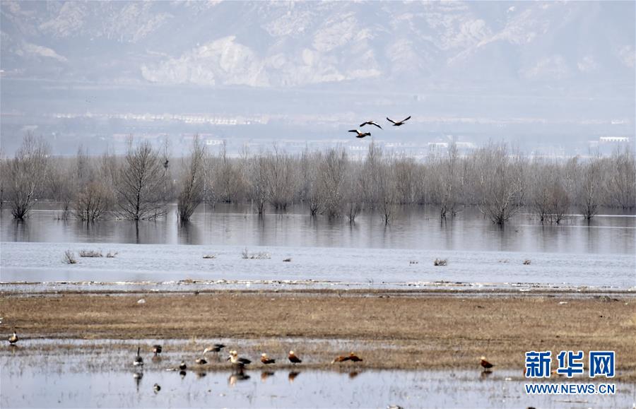（圖文互動）（3）這座小城，鐫刻下怎樣的&ldquo;世園印記&rdquo;&mdash;&mdash;北京世園會開園一周年探訪延慶